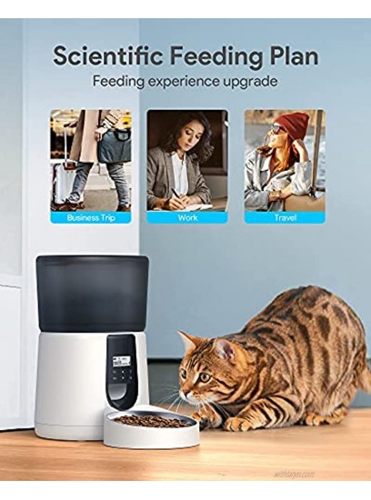 Upgraded Automatic Cat Feeder KATALIC Clog-Free 4L Cat Food Dispenser Sliding Lock Lid Storage Timed Feeder for Cat and Dogs with Voice Recorder Stainless Steel Bowl Programmable Meal & Portion