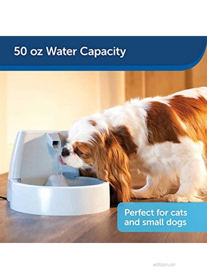 PetSafe Drinkwell Original Pet Fountain 50 oz Capacity Fresh Filtered Water Dispenser for Cats and Medium Sized Dogs Easy to Clean Design with Adjustable Flow Filters Included