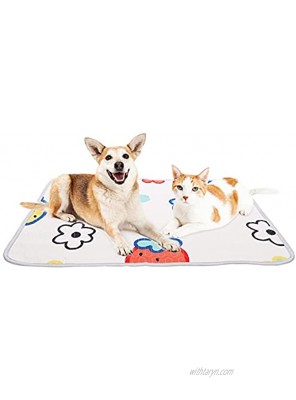 ROZKITCH Pet Cooling Mat for Dog Cat Summer Self Cool Bed Pad Comfortable Durable Ice Silk Sleeping Cushion for Indoor & Outdoor Kennels Crate Washable Portable Camping Travel Mat 27x19