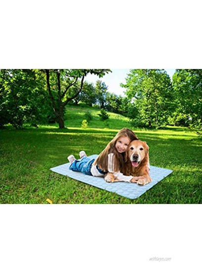 Summer Pet Cooling Mat for Dogs Cats Kennel Ice Silk Washable Mat Breathable Pet Crate Pad Cusion Sleep Mat for Carrier Bag Dog Self Cooling Mat Blue X-Large: 40 x 28 inches
