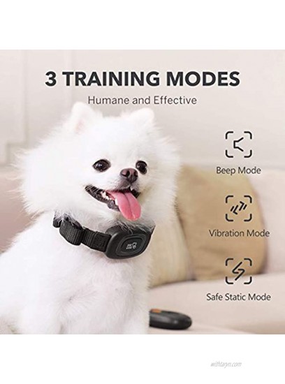 DOG CARE Dog Training Collar with Remote Rechargeable Training Collar with Beep Vibration and Shock Training Modes Dog Collar for Large Medium Small Dogs Rainproof E-Collar for Dogs