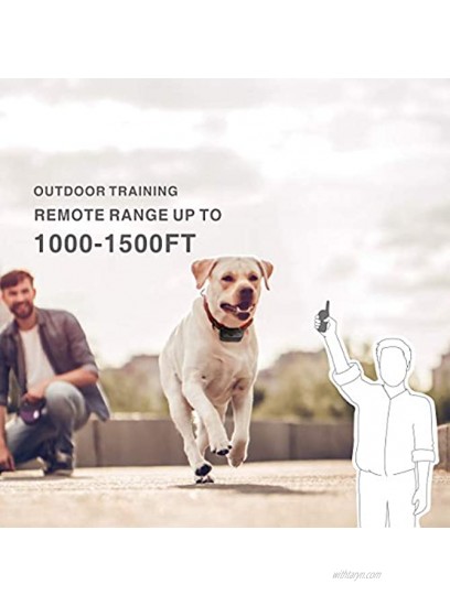 Dog Training Collar Auto Dog Bark Collar 2 in 1 Rechargeable Dog Remote Collar w 3 Training Modes Beep Vibration Shock 100% Waterproof Training Collar Up to 1900Ft Remote Range for 2 Dogs