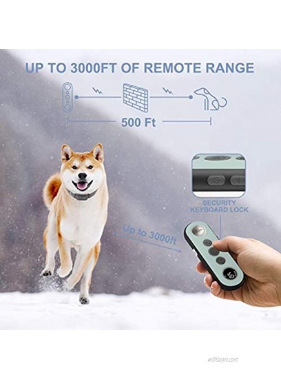 Lu&Ba Dog Shock Collar 3000ft Dog Training Collar with Remote Rechargeable Waterproof Shock Collar for Dogs with 3 Safe Mode Beep Vibration and 16 Shock Level for 10-110lb Small Medium Large Dogs