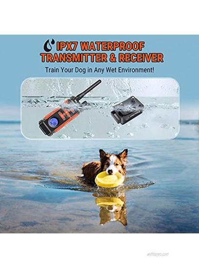Petrainer PET616A-3 Waterproof dog training collar with remote electric collar for dogs with Beep Vibrate Static Rechargeable Dog Training Collar