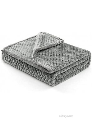 LYENDOS 4 Seasons Pet Blanket Gift Cozy Plush Keep Warm Soft Cover Throw for Dog Cat Pet Couch Sofa,Cage Bed Grey 28x40 inch