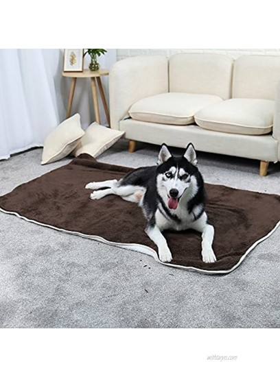 PAWZ Road Dog Blanket Fluffy Skin-Friendly and Warm,Double-Sided,No Shedding for Dogs Cats and Small Animals Small-Large Size
