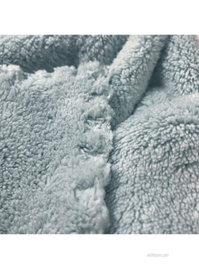 BEBORIA Absorbent Microfiber Pet Towel Absorment Drying Towel Cat Dog Towel for Paws 11.811.8in4 PCAK