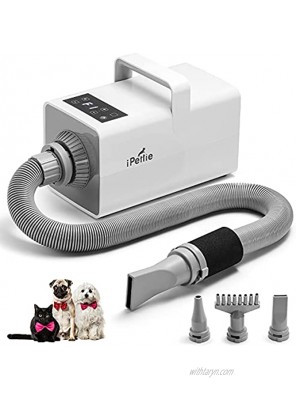 iPettie Ionic High Velocity Pet Hair Dryer 4.3HP Stepless Adjustable Heating & Speed Dog Hair Dryer Dog Hair Blower Cat Dryer with LED Digital Display Touch Control and 4 Nozzles