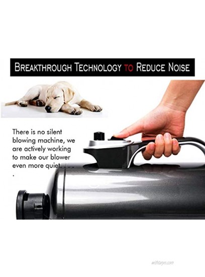 shernbao Dog Dryer High Velocity Professional Dog Pet Grooming Hair Drying Force Dryer Blower 6.0HP DHD-2400T