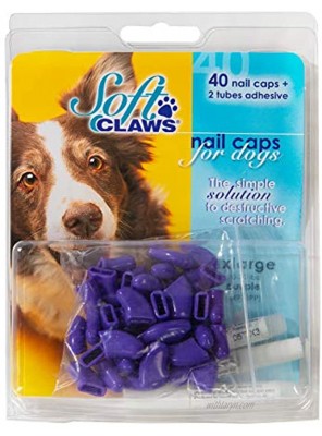 Soft Claws Canine Nail Caps 40 Nail Caps and Adhesive for Dogs Purple XX-Large