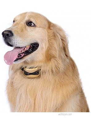 BixMe Dog Bark Collar Anti Bark Collar Humane No Bark Collar with Beep Sound Vibration and Rechargeable for Small Medium Large Dogs Stop Barking Collar Waterproof