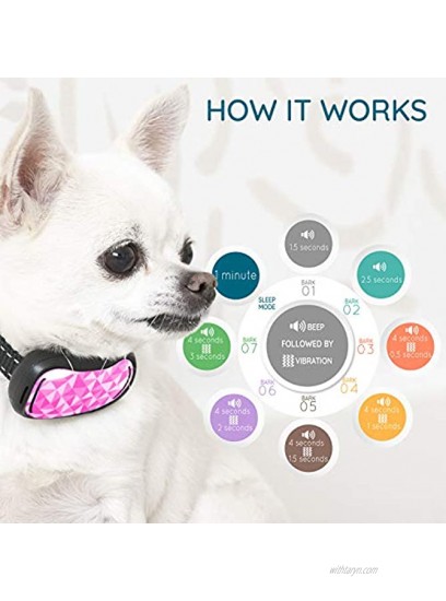 GoodBoy Small Rechargeable Dog Bark Collar for Tiny to Medium Dogs Weatherproof and Vibrating Anti Bark Training Device That is Smallest & Most Safe On No Shock No Spiky Prongs! 6+ lbs