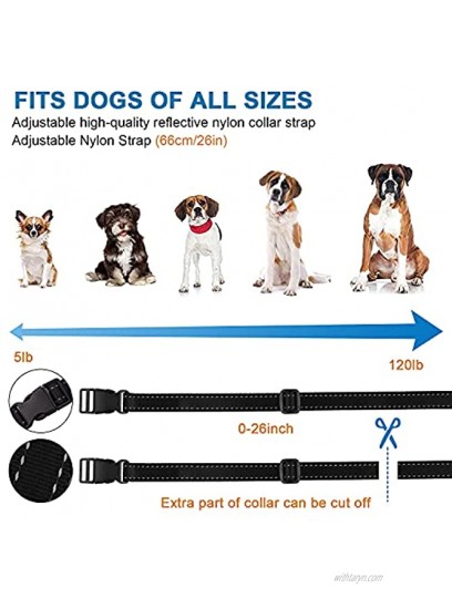 Rechargeable Dog Anti Bark Collar for Small Dogs 5-15lbs for Humane Beep Vibration Shock Training Collar of All Dog Breeds bark Collar