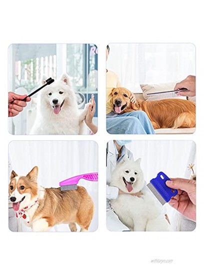 Qbily 5-in-1 Professional Pets Grooming Comb Kits for Small Dogs Puppies with storage box Tear Stain Remover Comb With Double Head dog combs for grooming small dogs,Knotted hair Crust Mucus 5pcs