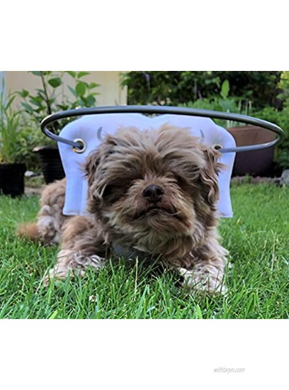 Muffin’s Halo Blind Dog Harness Guide Device – Help for Blind Dogs to Avoid Accidents & Build Confidence – Ideal Blind Dog Accessory to Navigate Surroundings. Helped Over 30,000 Blind Dogs!
