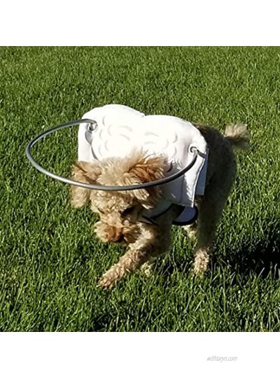 Muffin’s Halo Blind Dog Harness Guide Device – Help for Blind Dogs to Avoid Accidents & Build Confidence – Ideal Blind Dog Accessory to Navigate Surroundings. Helped Over 30,000 Blind Dogs!