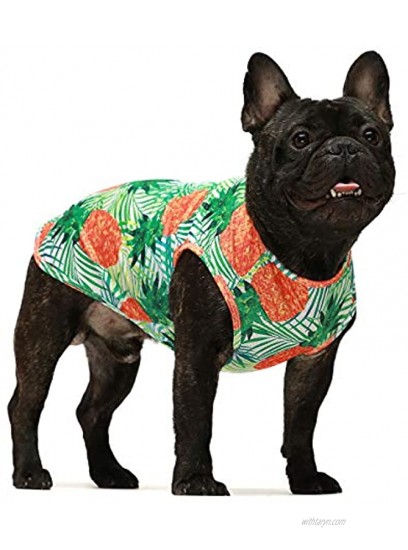 Fitwarm Brethale Mesh Dog Shirts Tropical Pineapple Hawaiian Funny Beer Doggie T-Shirts Puppy Tee Top Aloha Vest Pet Clothes