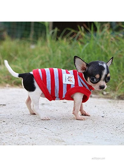 LOPHIPETS 100% Cotton Striped Dog Shirts for Small Dogs Chihuahua Puppy Clothes Tank Vest-Red and Gray Strips XXS