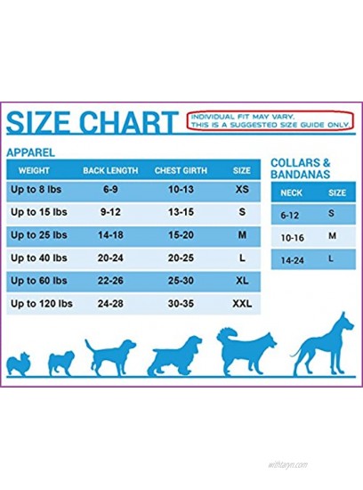 NFL T-SHIRT DOG TEE SHIRT Football DOGS & CATS SHIRT Durable SPORTS PET TEE 5 Sizes in 32 NFL TEAMS NFL PET OUTFIT UGLY TEE SHIRTS & Team color Tee Shirts Cool Busy Dog Shirt