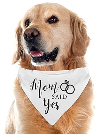 Dad Asked and Mom Said Yes Dog Bandana Wedding Engagement Photos Bridal Shower Gift Pet Accessories for Dog Lovers Maid of Honor Wedding Dog Bandana Pack of 2