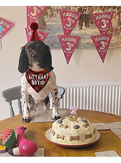 Dog Birthday Hat and Dog Birthday Bandana Boy Set