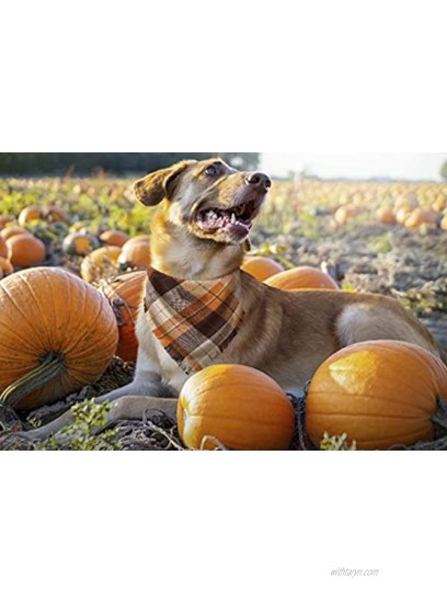 Fall Dog Bandana Set of 2 Washable Reversible Square Plaid Pet Kerchief Scarf for Halloween