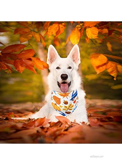 Pohshido 2 Pack Thanksgiving Dog Cat Bandana Fall Pumpkin Constume Triangle Bibs for Pets Puppy