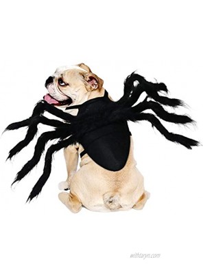 Rypet Pet Spider Costume Halloween Spider Costume for Cats and Small to Medium Dogs Halloween Party Dress Up Festival Decoration Cosplay Pet Costume