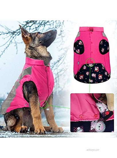 Didog Waterproof Dog Winter Coats Clothes,Reflective Dog Cold Weather Vest Jackets with Soft Warm Fleece,Windproof Dog Apparel for Medium Large Dogs