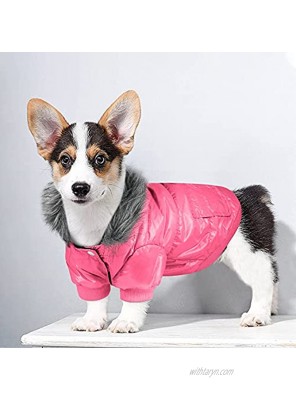 NAMSAN Dog Winter Coat Windproof Small Dog Hoodie Jacket Snowproof Puppy Parka Snowsuit Warm Cat Apparel Windbreaker with Leash Hole