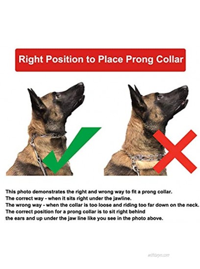 Mayerzon Dog Prong Training Collar Stainless Steel Choke Pinch Dog Collar with Comfort Tips