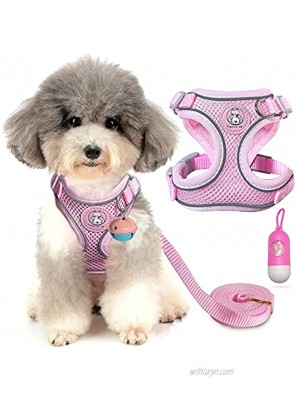 Blompet Small Dog Harness,Puppy Harness and Leash Set Air Mesh Dog Vest Harness Walking Escape Proof,Adjustable Pet Vest with Reflective Strap and Bells,Easy Control for Small Medium Puppy Dogs