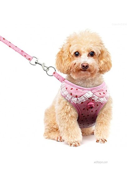 Didog Adjustable Pet Mesh Vest Harness and Leash Set with Cute Bell for Puppy Small Medium Dogs and Cats