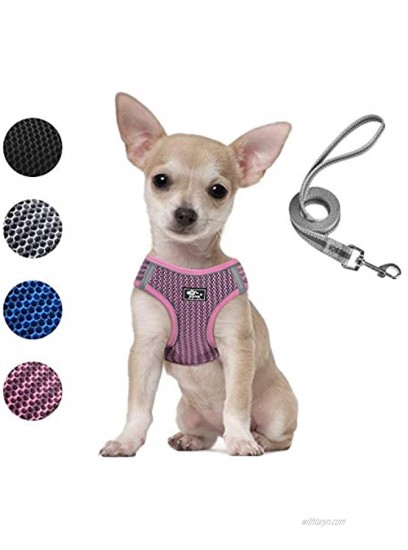 Dog and Cat Universal Harness with Leash Cat Harness Escape Proof Adjustable Reflective Step in Dog Harness for Small Dogs Medium Dogs Soft Mesh Comfort Fit No Pull No Choke