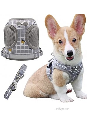 Dog Harness for Small Dogs No Pull Puppy Harness with 1 Dog Leash All Weather Mesh Vest Harness Adjustable Soft Padded Dog Vest Reflective No Choke Pet Vest for Dogs and Cats Walking Gray XS