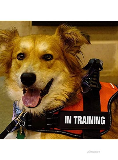 FAYOGOO Reflective in Training Service Dog in Training Therapy Dog Do Not Pet Emotional Support Dog Patches with Hook Backing for Service Dog Vests Harnesses
