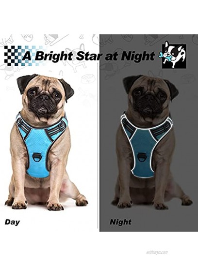No Pull Dog Harness,Dog Vest Harness with A Free 5ft Dog Leash,3M Reflective Breathable Oxford Harness for Large Dogs with 2 Mental D Ring and Easy Control Handle,Adjustable Dog Harness +Dog Leash