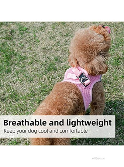 PINA Dog Harness for Small Dogs Small Dog Harness and Leash Set Cute Puppy Vest Harness No Choke Breathable Step-in Air Dog Harness Pink S