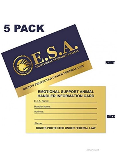 Premium Emotional Support Dog ESA Mesh Vest 18 22 Girth Red Includes 5 Federal Law ESA Handout Cards