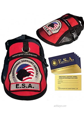 Premium Emotional Support Dog ESA Mesh Vest 18" 22" Girth Red Includes 5 Federal Law ESA Handout Cards