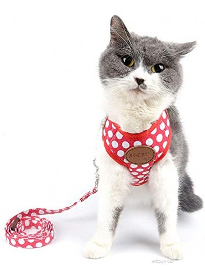 SMALLLEE Lucky Store New Soft Mesh Nylon Vest Pet Cat Small Medium Dog Harness Dog Leash Set