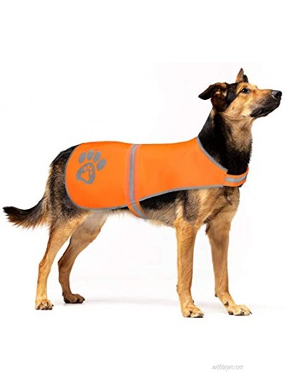 SPOFLY Dog Vest Blaze Orange Hunting Vest Safety Reflective Dog Jacket Chaleco Reflectante para Perros High Visibility and Safety from Hunters Cars and Other Blaze Orange M