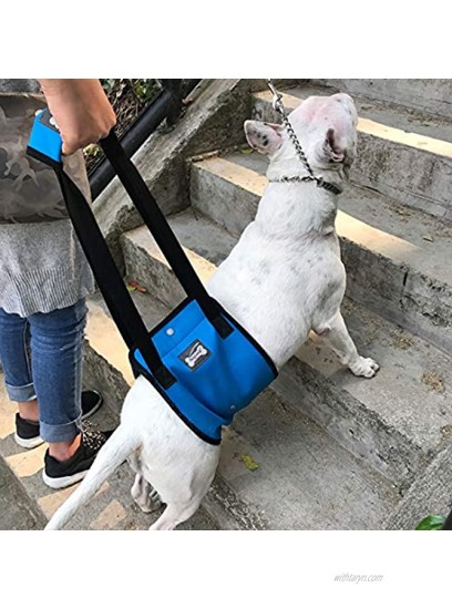Tineer Dog Lift Harness Support Sling for Elderly or Disabled Dogs Support Harness Rear Help Weak Legs Stand Up Walk Climb Stairs Walking Auxiliary Belt for Medium Large Dogs