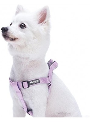 Blueberry Pet Essentials 20+ Colors Classic Solid Color Step-in Dog Harnesses Harness Vests