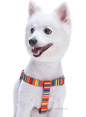 Blueberry Pet Essentials Step-in Nautical Flags Inspired Designer Dog Harness