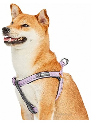 Blueberry Pet Soft & Comfortable 3M Reflective Pastel Colors Padded Dog Harness 10 Colors Matching Collar & Leash Available Separately