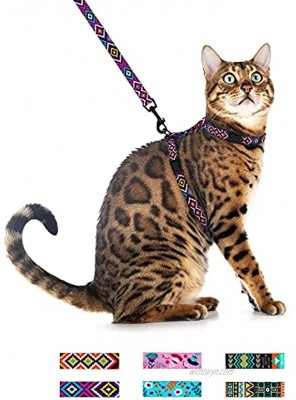 CollarDirect Adjustable Cat Harness and Leash Set for Outdoor Walking Pattern Harnesses for Small Dogs Puppy Tribal Magenta 2XS