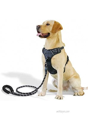 Dog Harness with Easy Control Leash