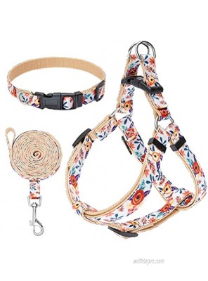 EXPAWLORER No Pull Dog Harness and Leash Set with Collar Heavy Duty & Adjustable Basic Harness for Small Medium Dogs & Cats