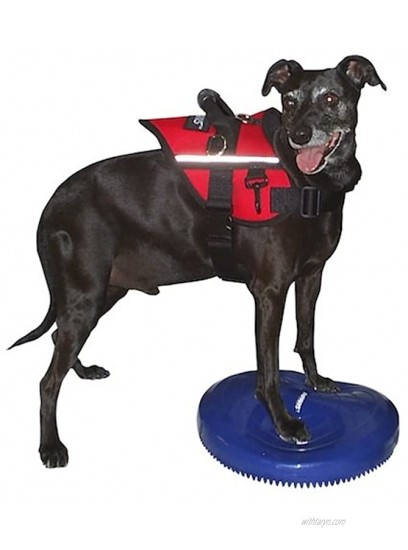 FitPAWS Safety Harness Extra-Large 40-42 Girth Red